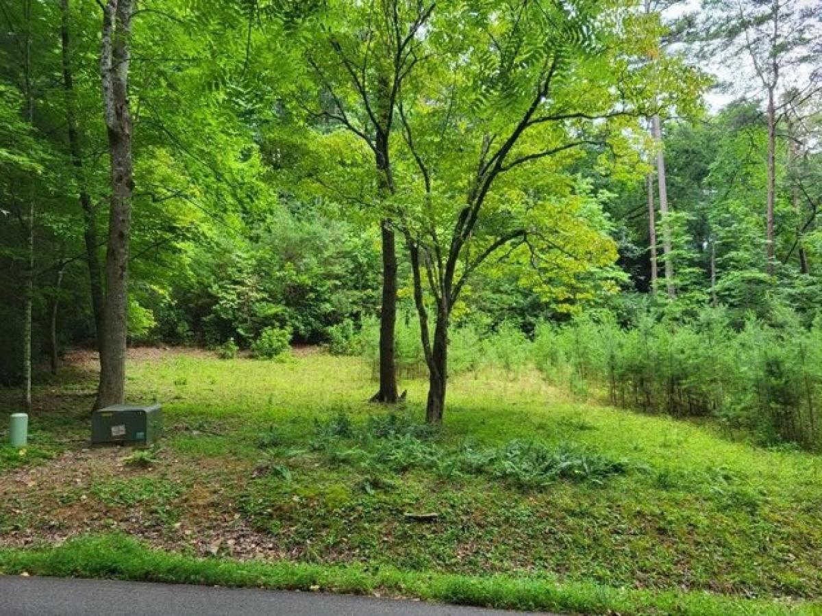 Picture of Residential Land For Sale in Franklin, North Carolina, United States