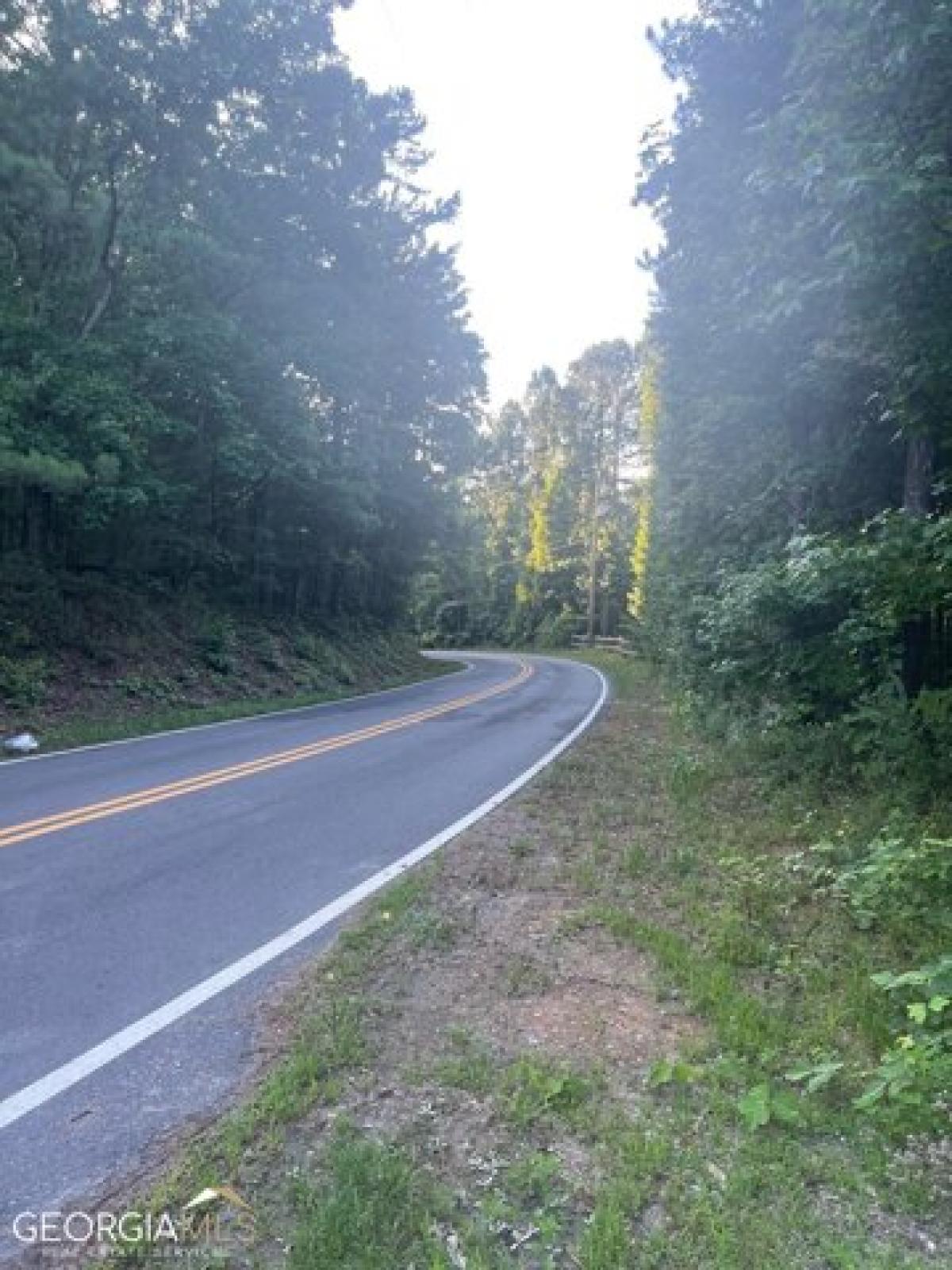 Picture of Residential Land For Sale in Villa Rica, Georgia, United States