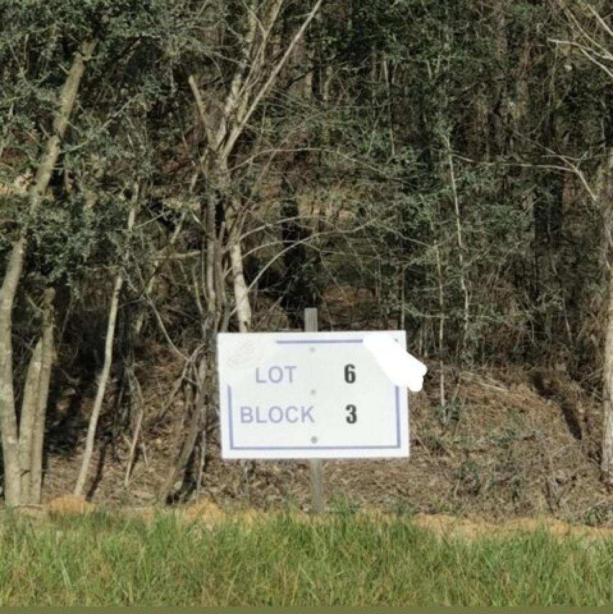 Picture of Residential Land For Sale in Willis, Texas, United States