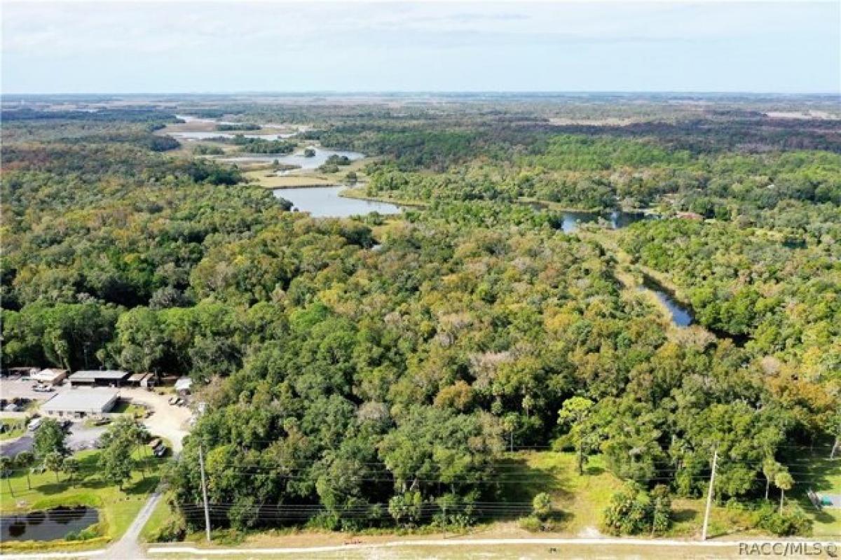 Picture of Residential Land For Sale in Homosassa, Florida, United States