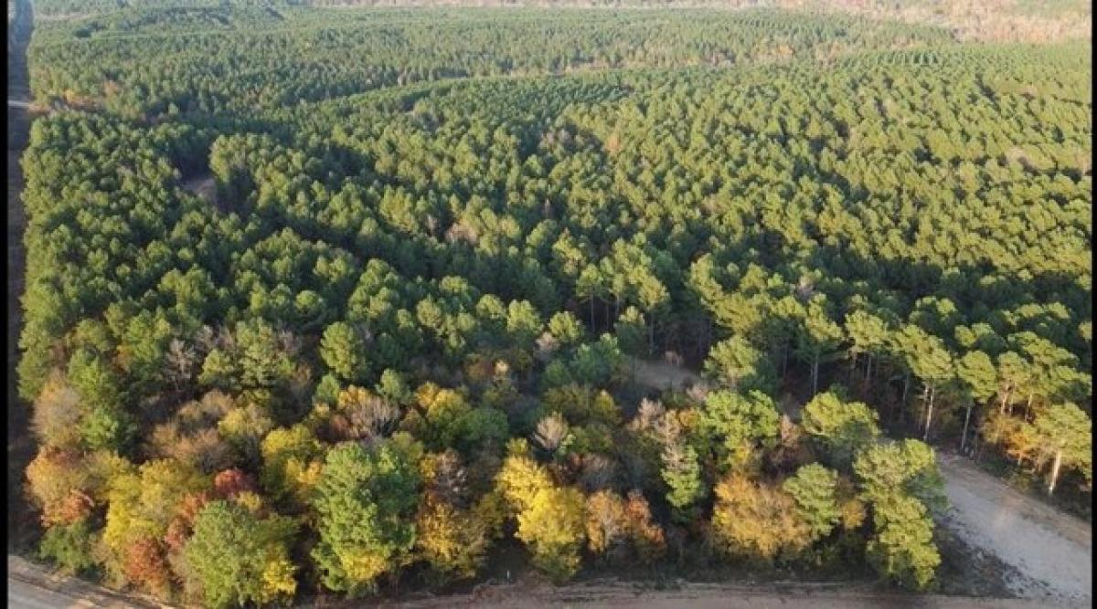 Picture of Residential Land For Sale in Broken Bow, Oklahoma, United States