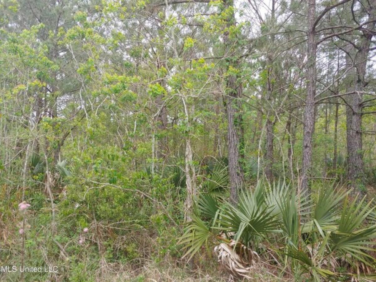Picture of Residential Land For Rent in Bay Saint Louis, Mississippi, United States