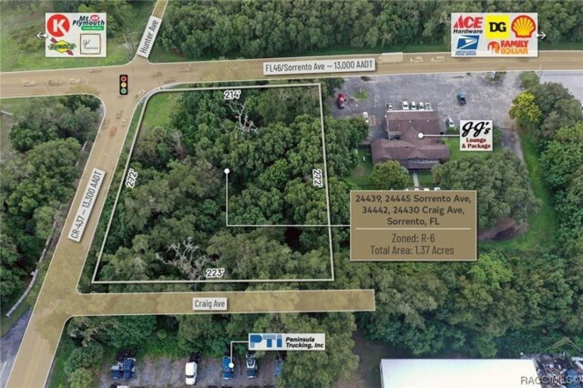 Picture of Residential Land For Rent in Mount Dora, Florida, United States