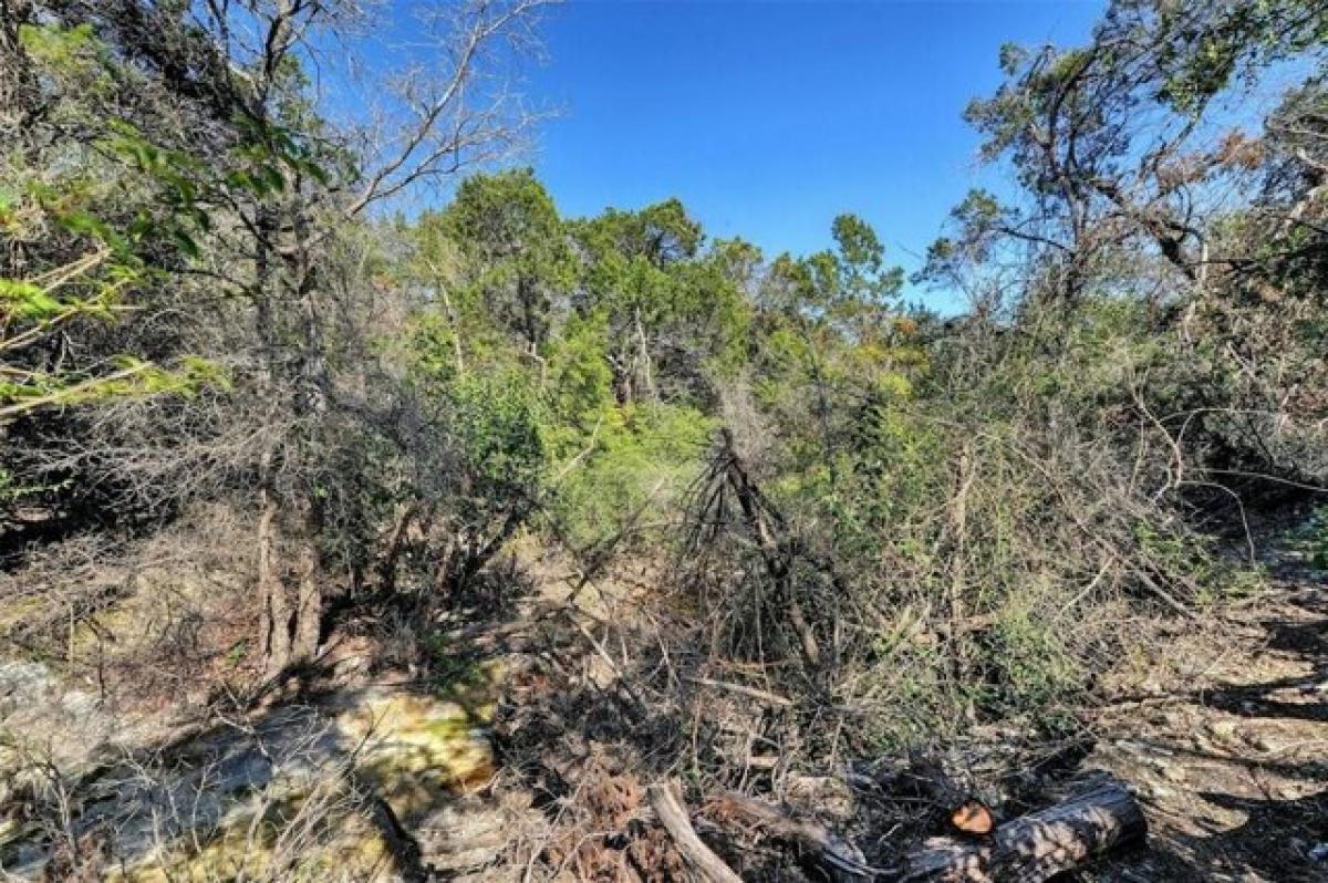 Picture of Residential Land For Sale in Austin, Texas, United States