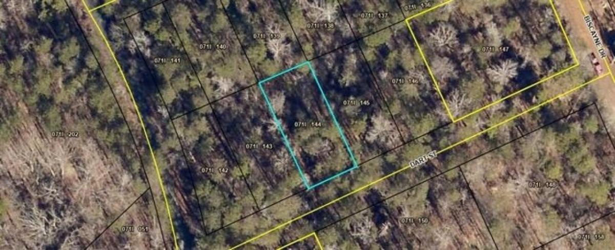Picture of Residential Land For Rent in Martin, Georgia, United States