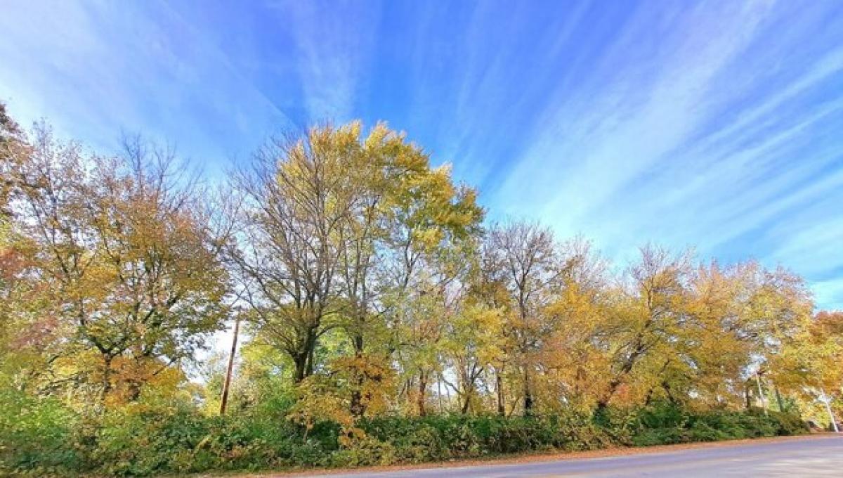 Picture of Residential Land For Sale in Indianapolis, Indiana, United States