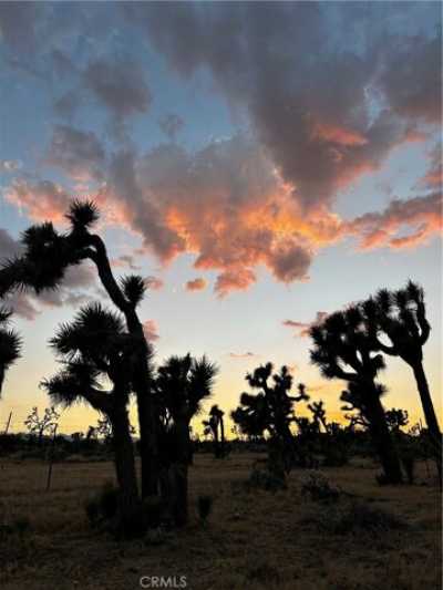 Home For Sale in Yucca Valley, California
