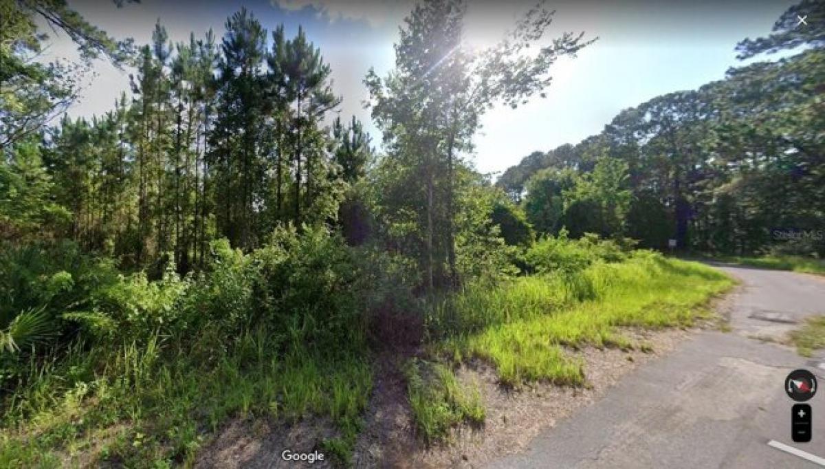 Picture of Residential Land For Sale in Ocala, Florida, United States