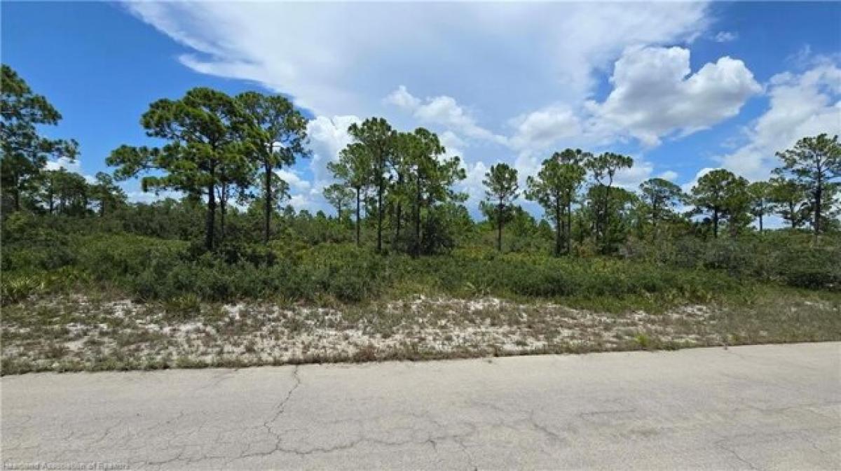 Picture of Residential Land For Sale in Lake Placid, Florida, United States