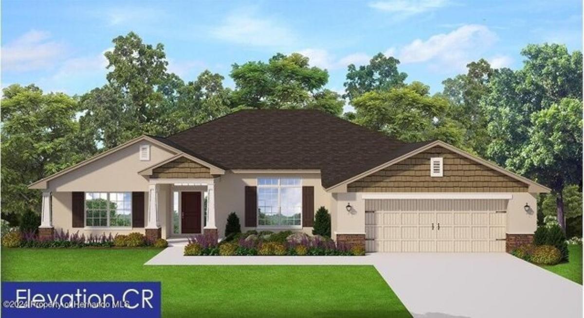 Picture of Home For Sale in Weeki Wachee, Florida, United States