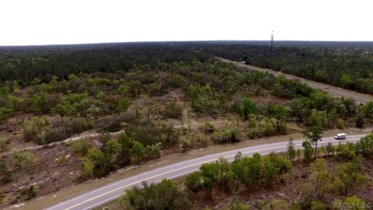 Picture of Residential Land For Sale in Homosassa, Florida, United States