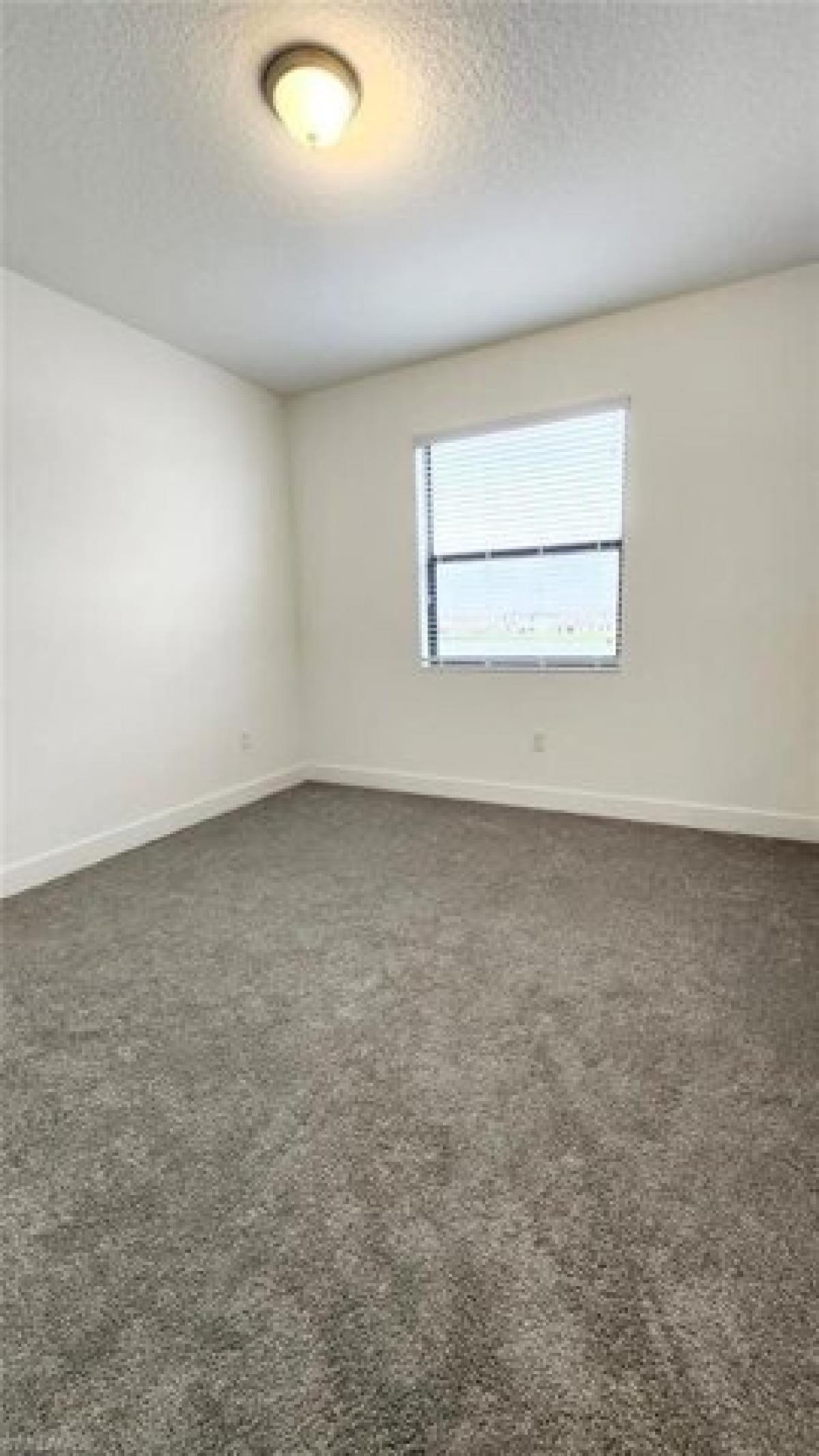 Picture of Home For Rent in Ave Maria, Florida, United States