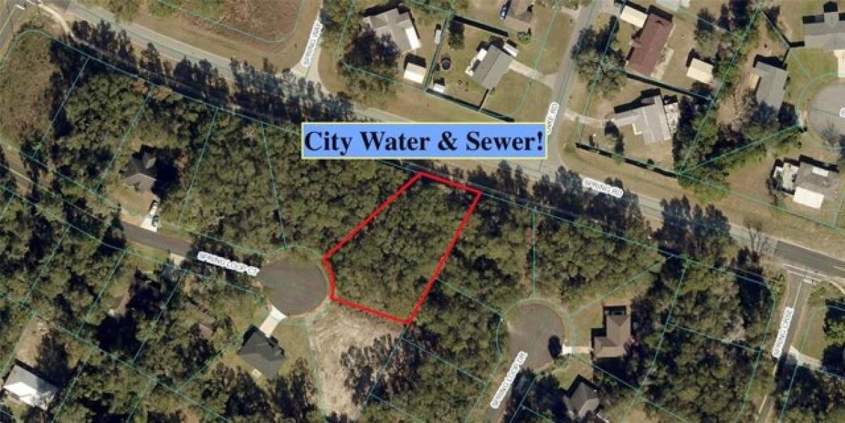 Picture of Residential Land For Sale in Ocala, Florida, United States