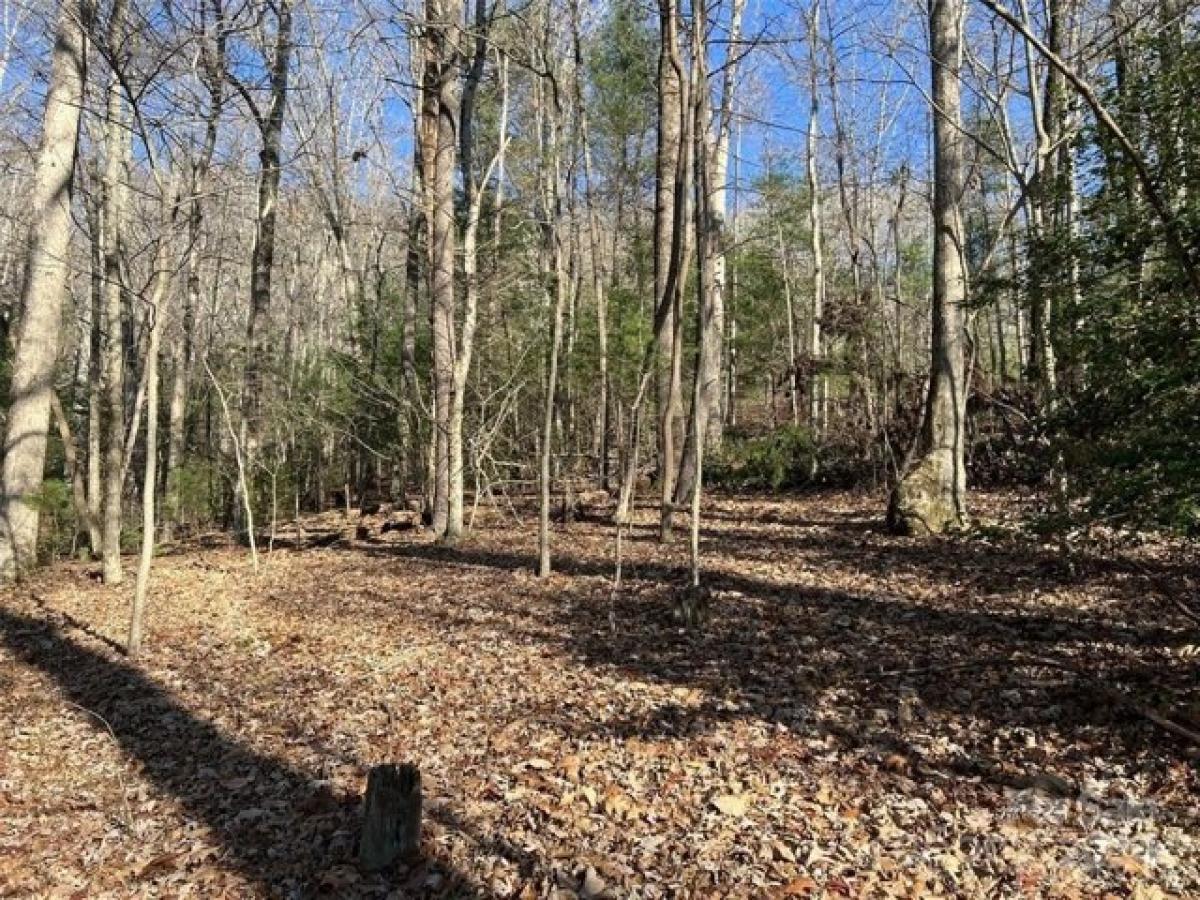 Picture of Residential Land For Sale in Asheville, North Carolina, United States