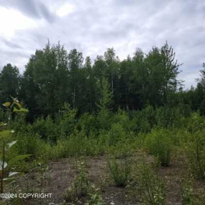 Home For Sale in Willow, Alaska