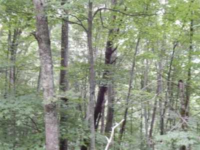Residential Land For Sale in Waynesville, North Carolina