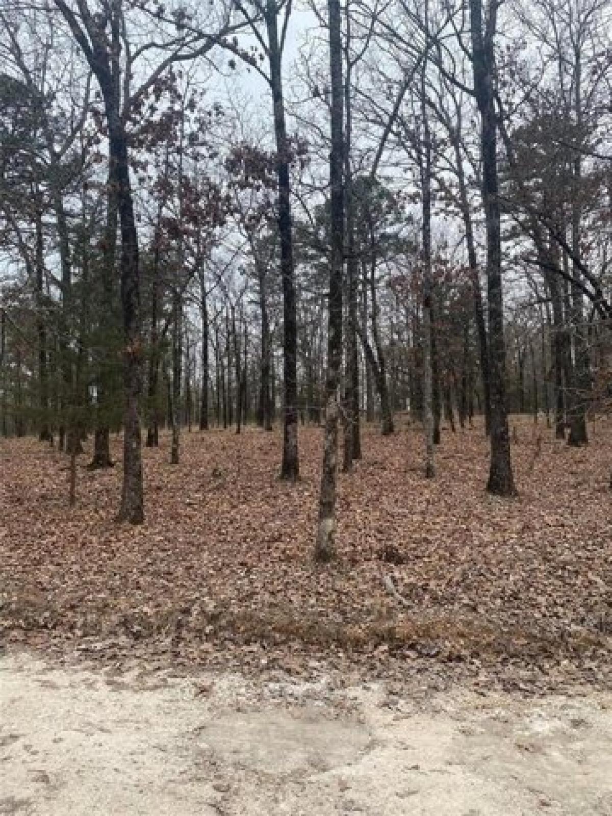 Picture of Residential Land For Sale in Broken Bow, Oklahoma, United States