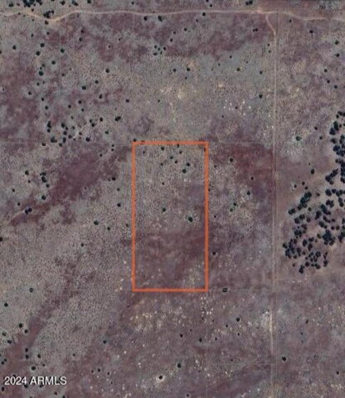 Picture of Residential Land For Rent in Saint Johns, Arizona, United States