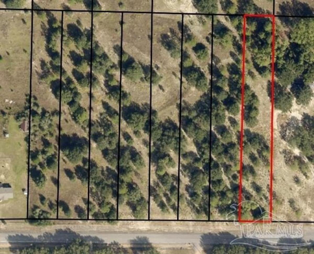 Picture of Residential Land For Sale in Milton, Florida, United States