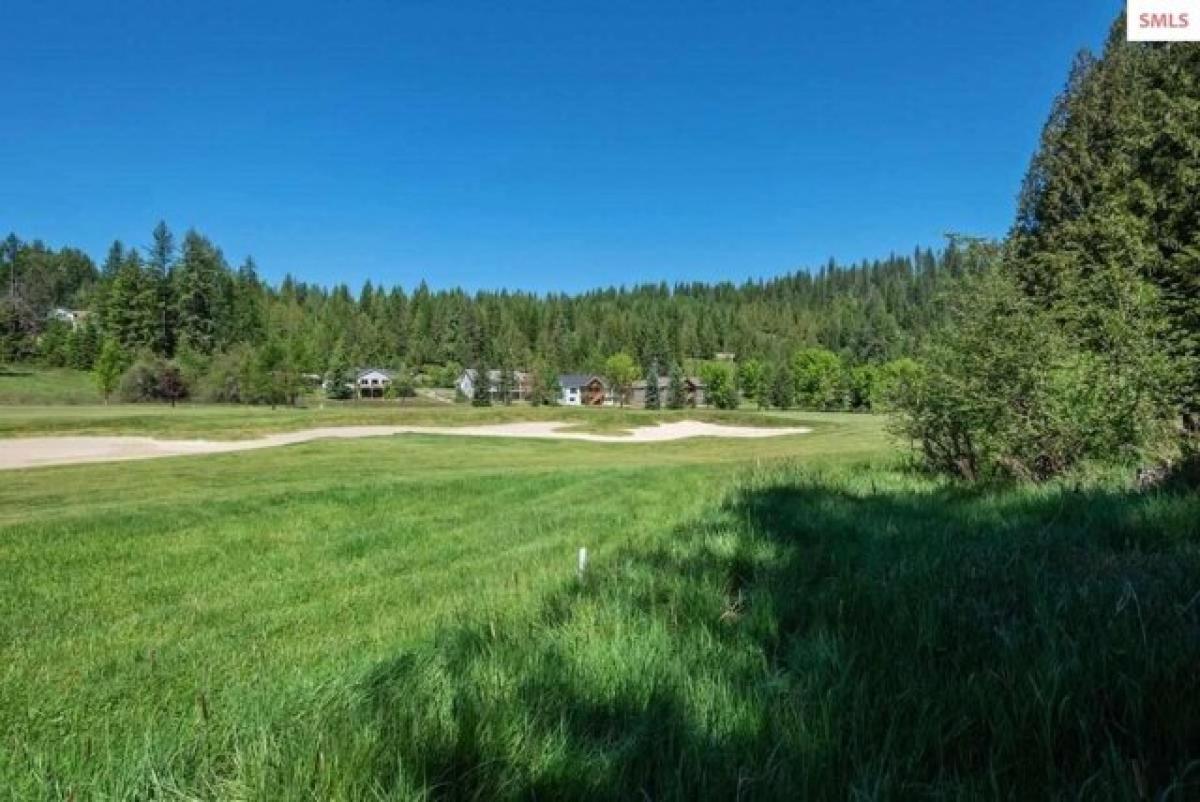 Picture of Residential Land For Sale in Sandpoint, Idaho, United States