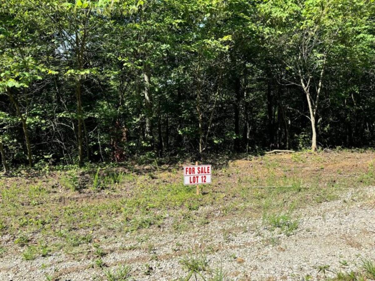Picture of Residential Land For Sale in Somerset, Kentucky, United States