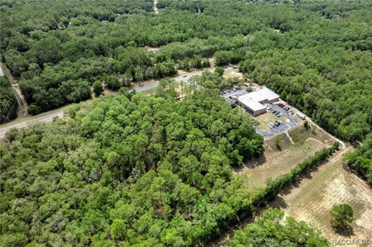 Picture of Residential Land For Sale in Citrus Springs, Florida, United States