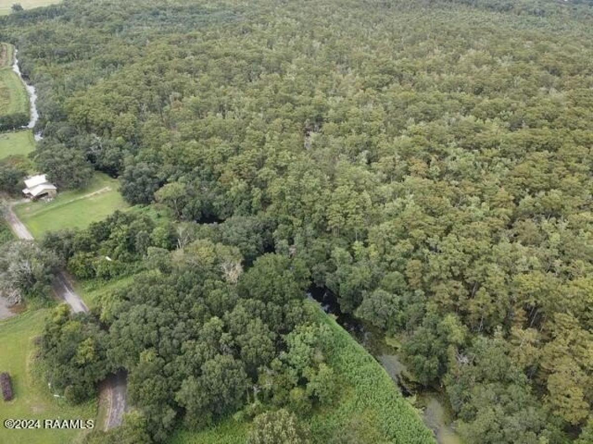 Picture of Residential Land For Sale in Abbeville, Louisiana, United States