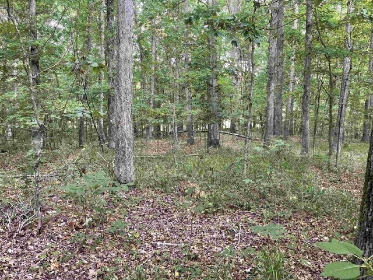 Picture of Residential Land For Sale in Counce, Tennessee, United States