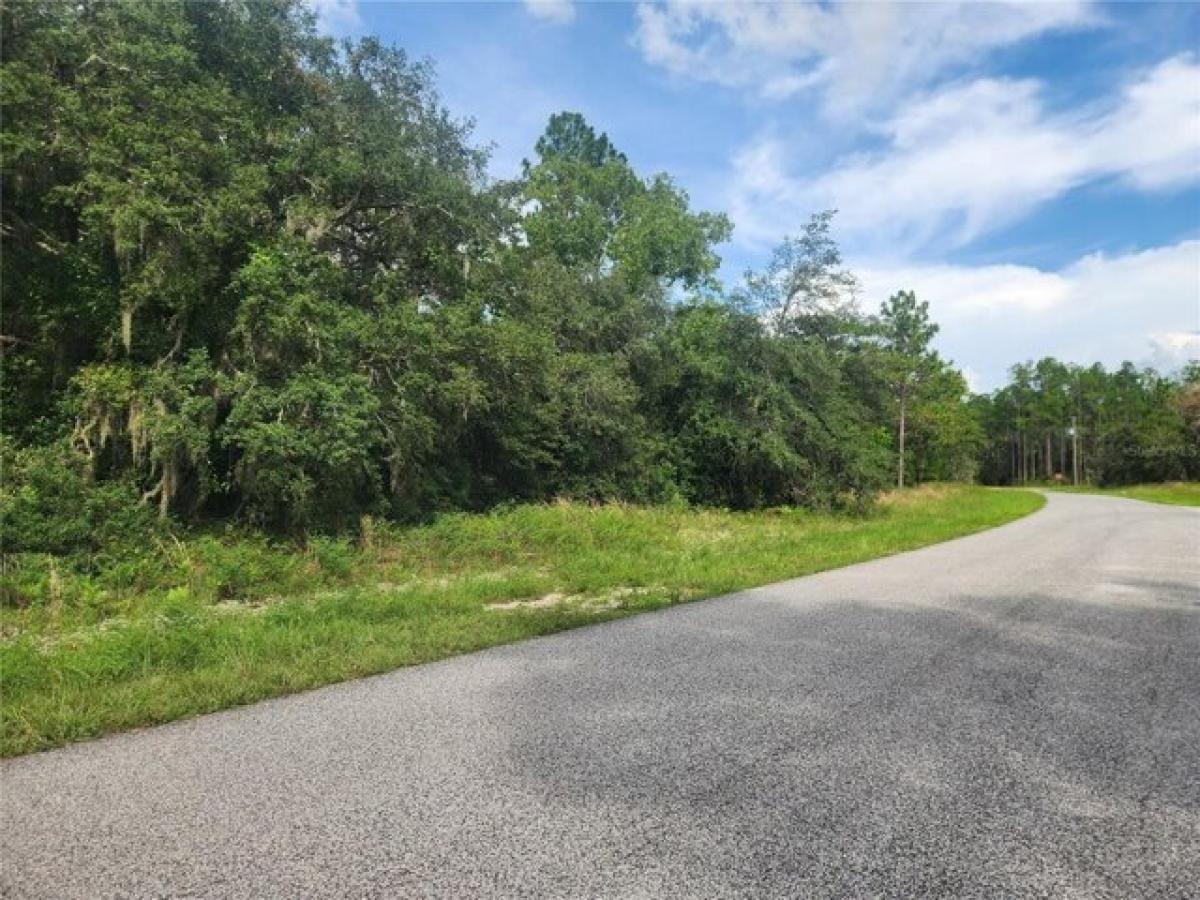 Picture of Residential Land For Sale in Citrus Springs, Florida, United States