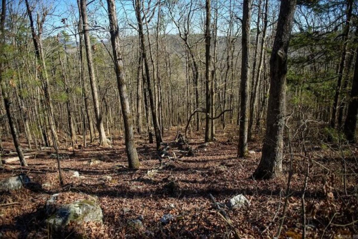 Picture of Residential Land For Sale in Hot Springs Village, Arkansas, United States