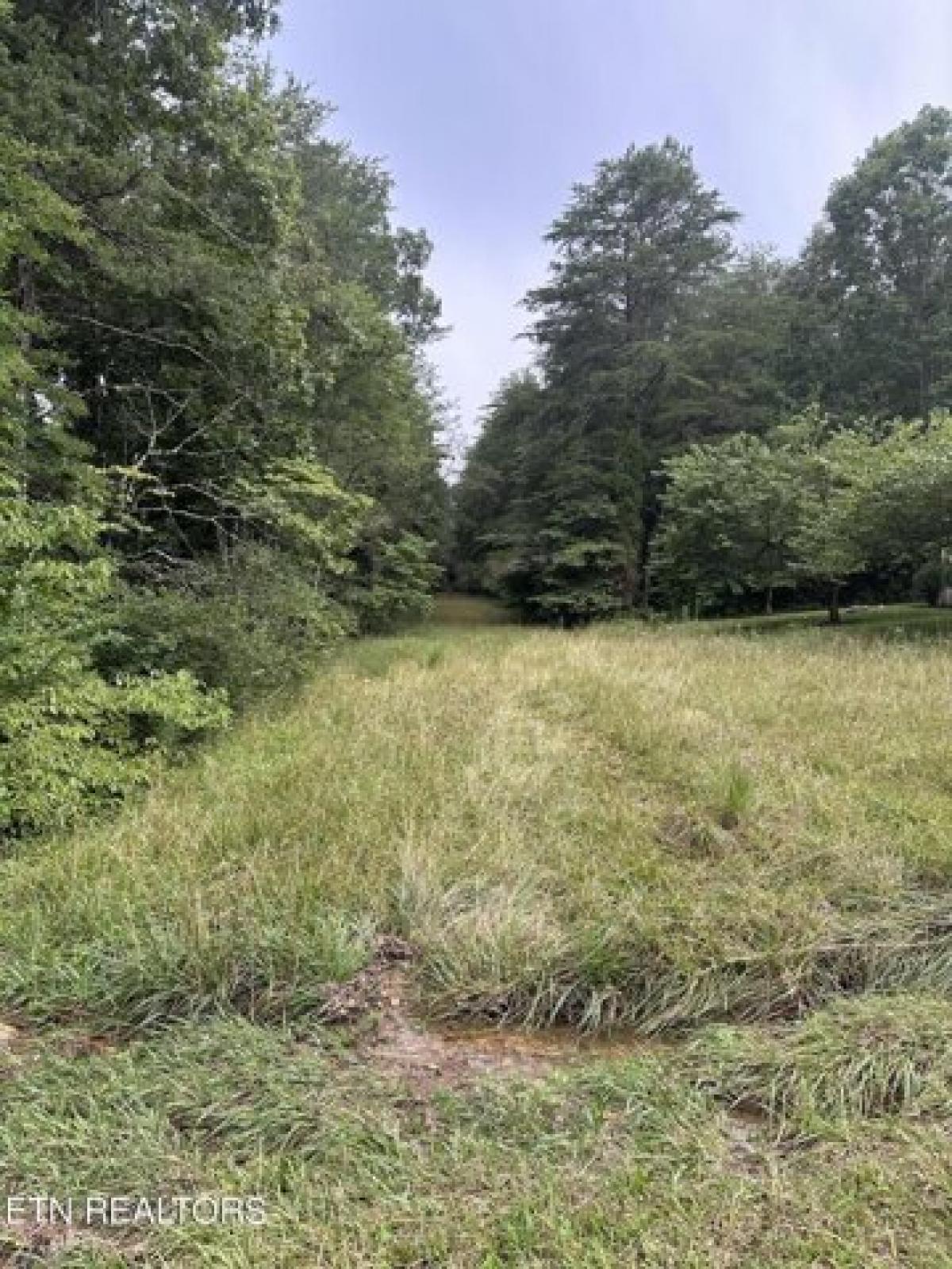 Picture of Residential Land For Rent in Crossville, Tennessee, United States