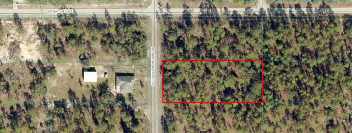 Picture of Residential Land For Sale in Dunnellon, Florida, United States