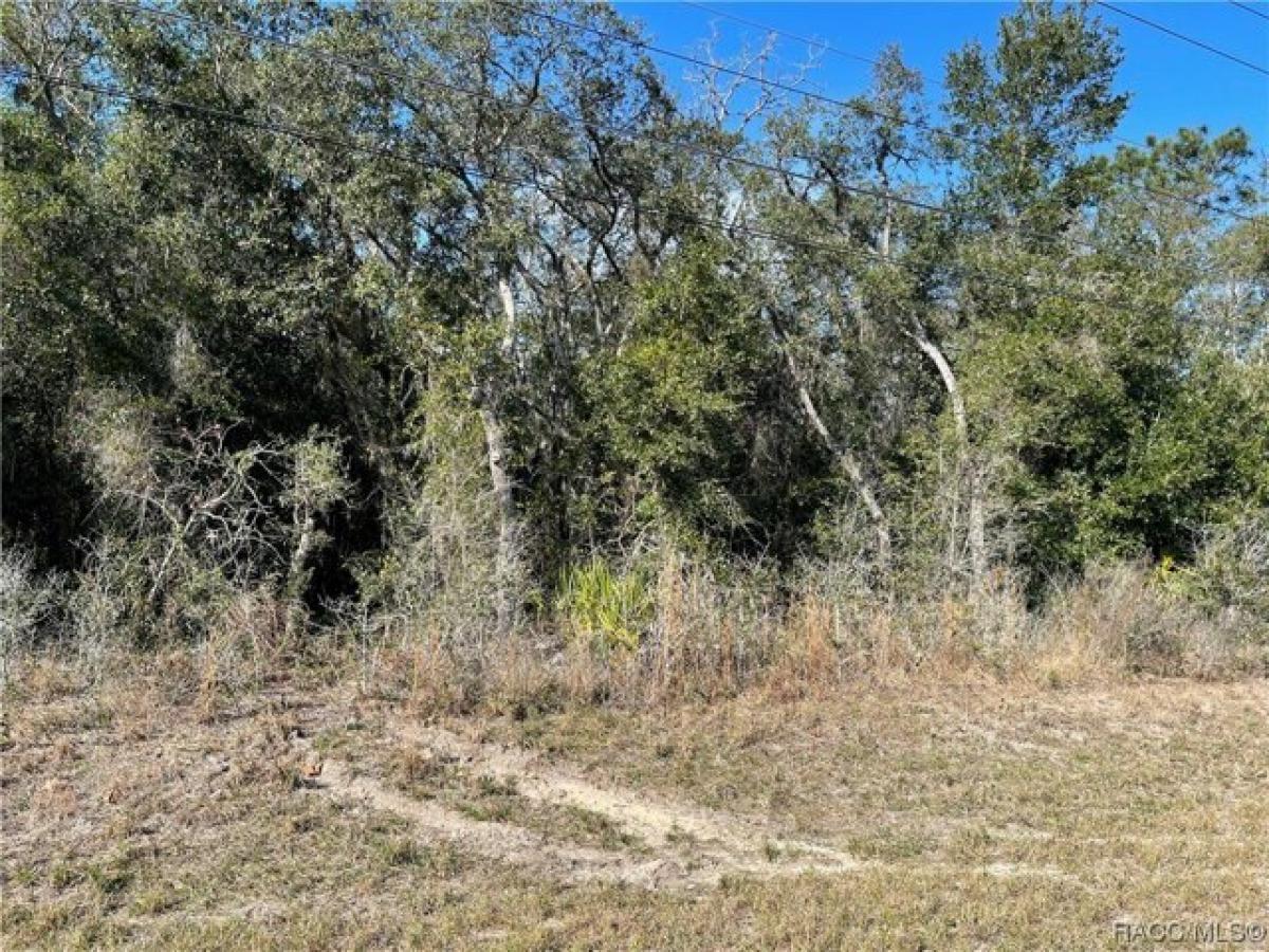 Picture of Residential Land For Sale in Homosassa, Florida, United States