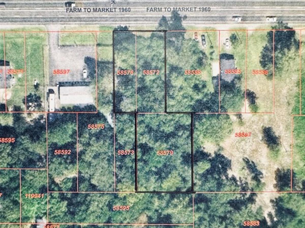 Picture of Residential Land For Sale in Dayton, Texas, United States