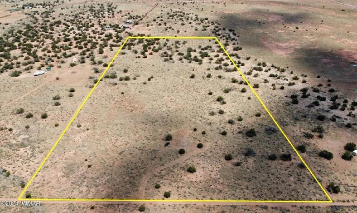Picture of Residential Land For Sale in Snowflake, Arizona, United States