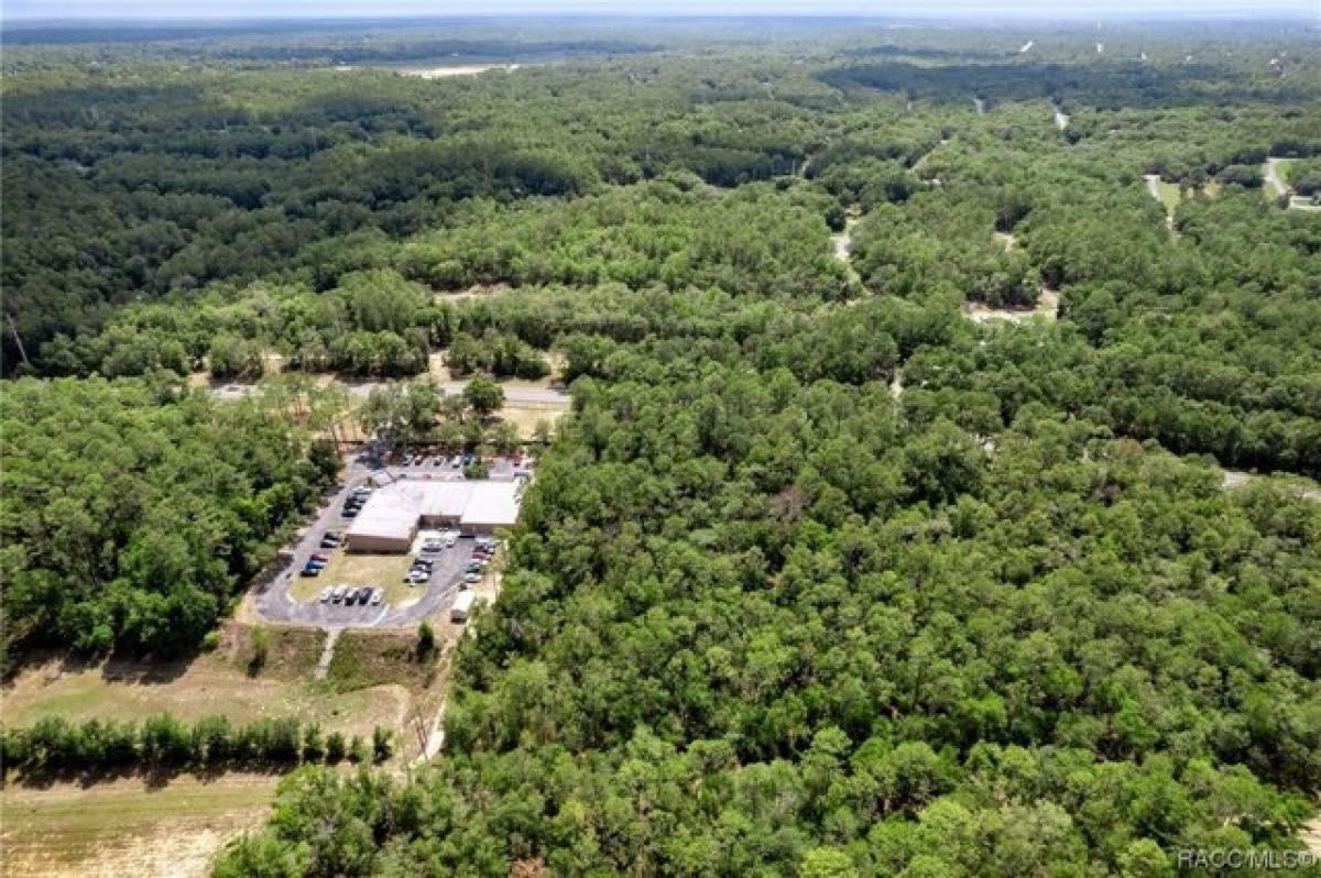 Picture of Residential Land For Sale in Citrus Springs, Florida, United States