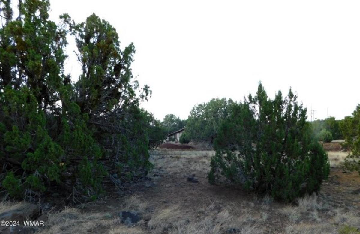 Picture of Residential Land For Sale in Show Low, Arizona, United States