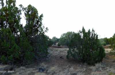 Residential Land For Sale in Show Low, Arizona