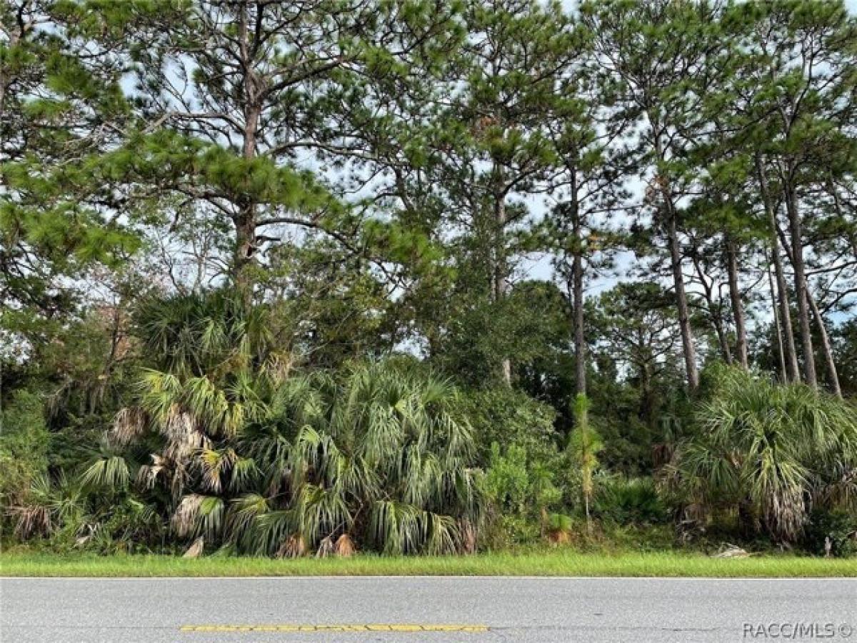 Picture of Residential Land For Sale in Homosassa, Florida, United States