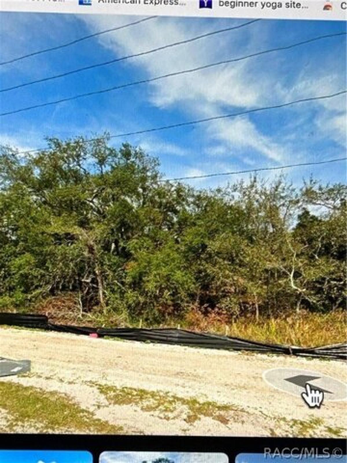 Picture of Residential Land For Sale in Spring Hill, Florida, United States