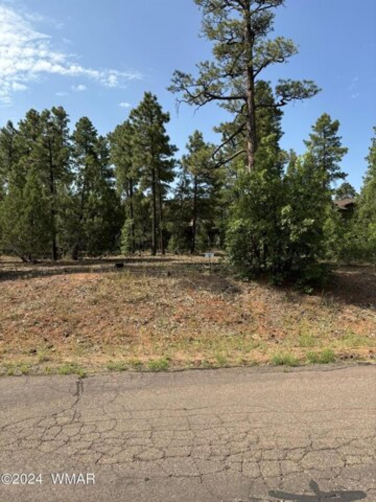 Picture of Residential Land For Sale in Lakeside, Arizona, United States