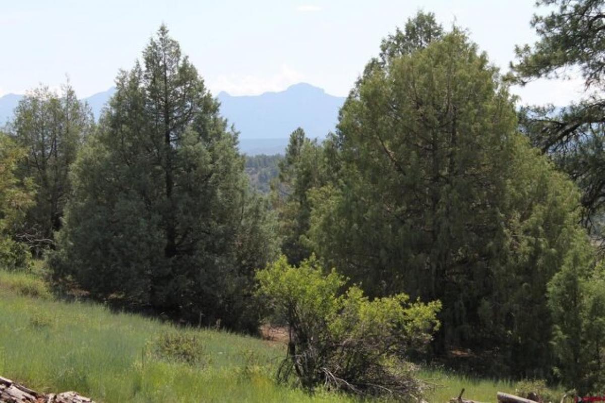 Picture of Residential Land For Sale in Pagosa Springs, Colorado, United States
