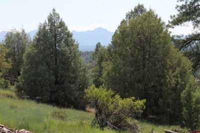 Residential Land For Sale in Pagosa Springs, Colorado