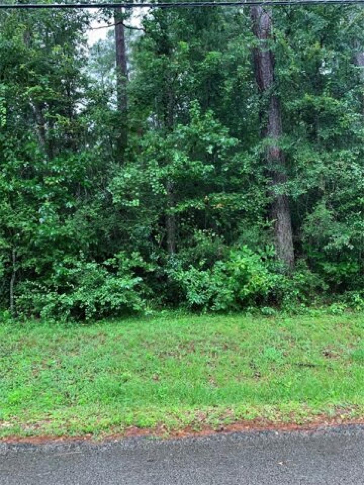 Picture of Residential Land For Sale in Montgomery, Texas, United States