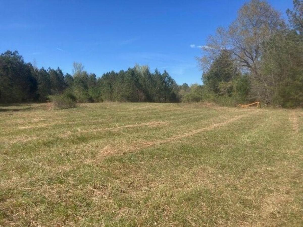 Picture of Residential Land For Sale in Cedartown, Georgia, United States