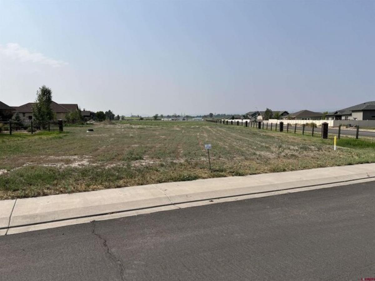 Picture of Residential Land For Sale in Montrose, Colorado, United States