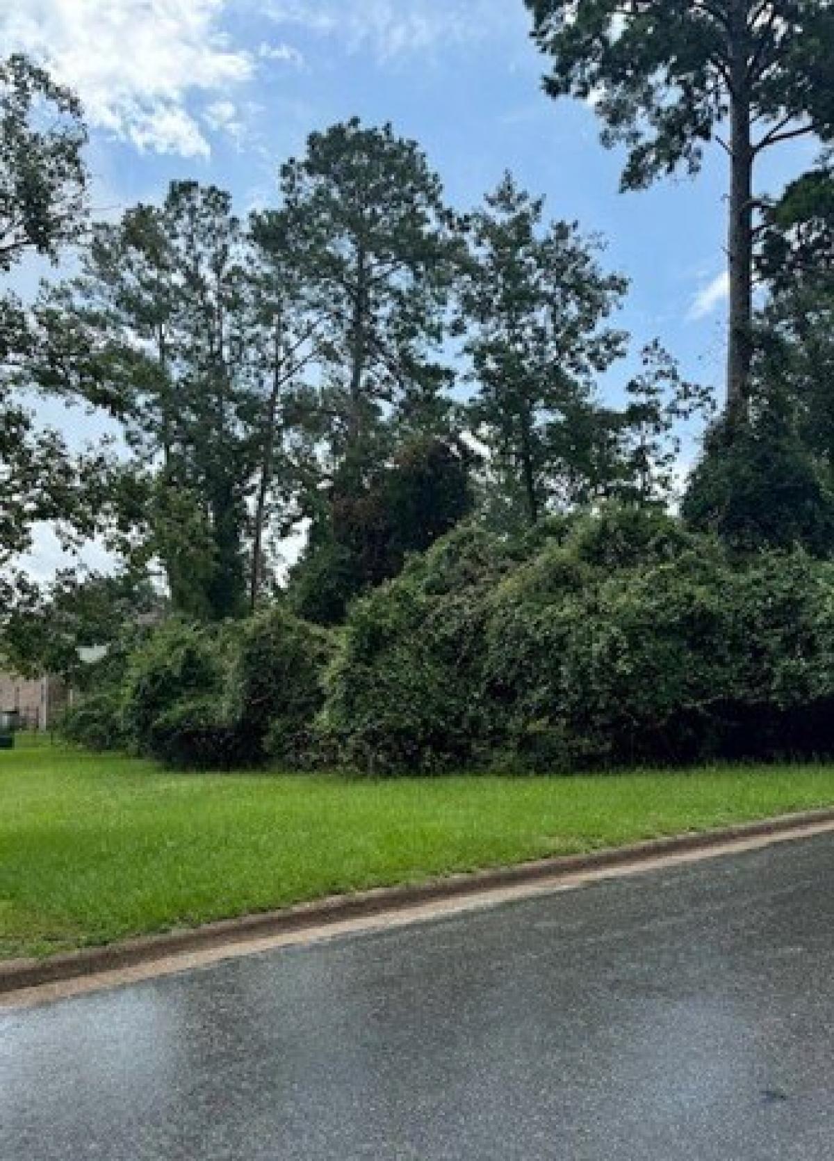 Picture of Residential Land For Sale in Huntsville, Texas, United States