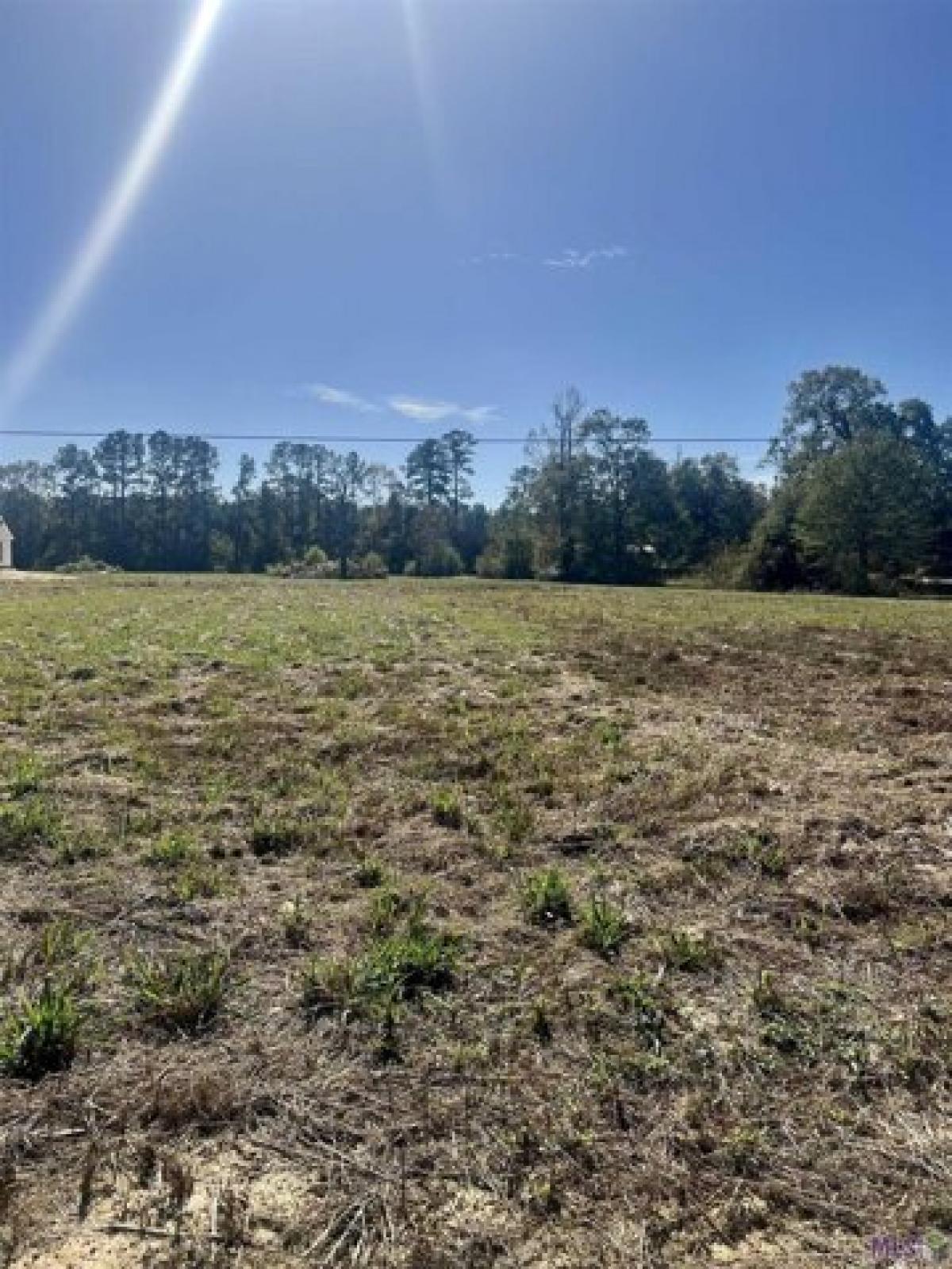 Picture of Residential Land For Sale in Denham Springs, Louisiana, United States
