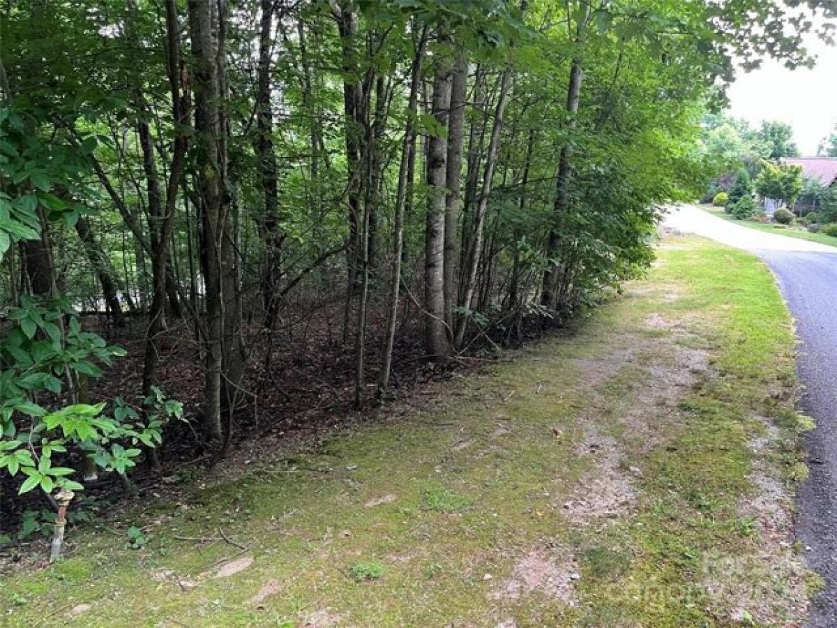 Picture of Residential Land For Sale in Hendersonville, North Carolina, United States