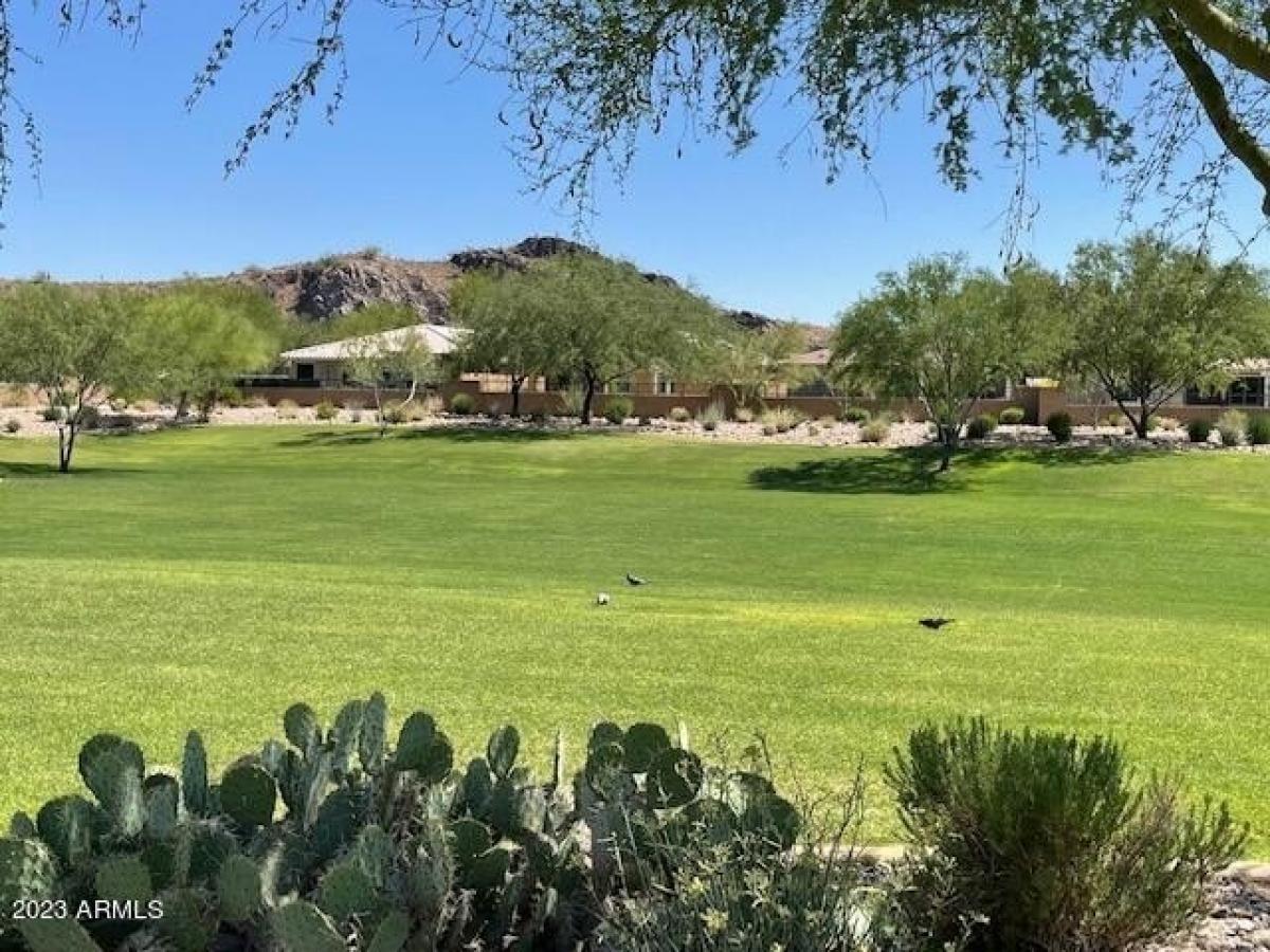 Picture of Home For Rent in Peoria, Arizona, United States